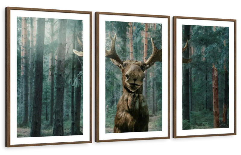 Wild Forest Moose Wall Art