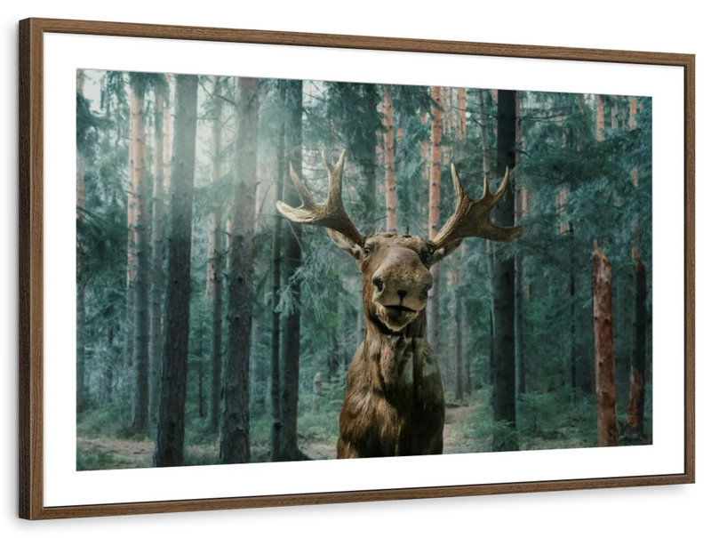 Wild Forest Moose Wall Art