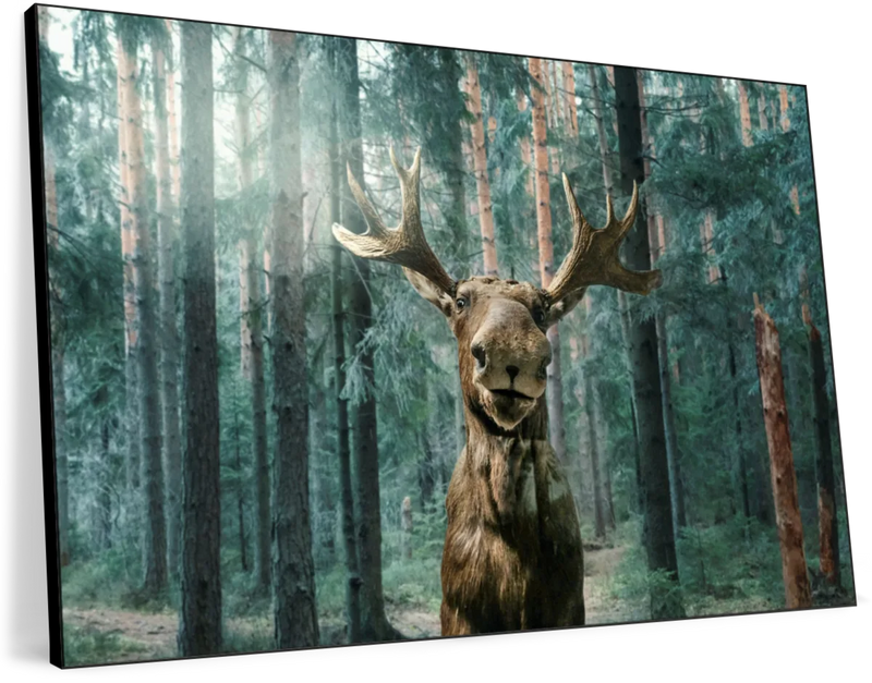 Wild Forest Moose Wall Art