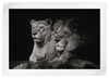 Lion And Lioness Mates Wall Art