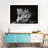 Lion And Lioness Mates Wall Art
