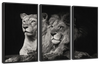 Lion And Lioness Mates Wall Art