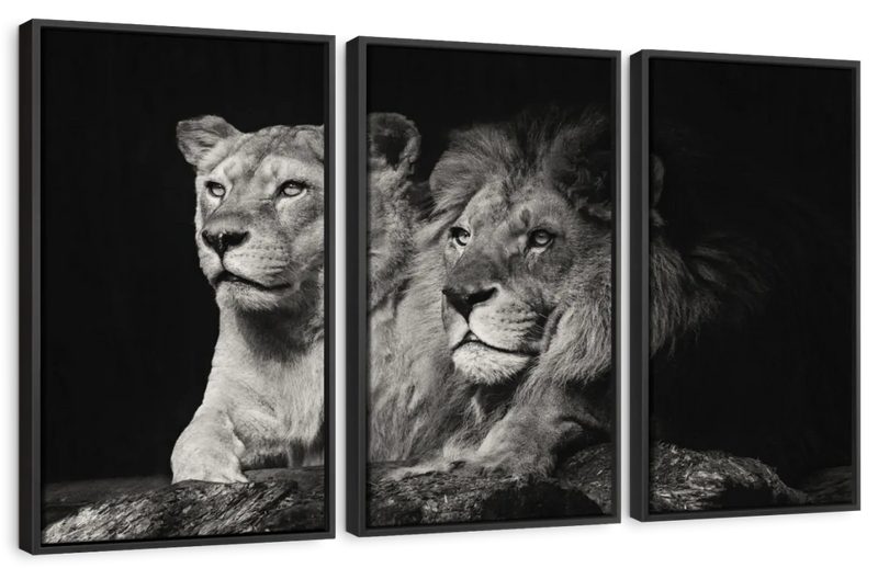 Lion And Lioness Mates Wall Art
