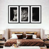 Lion And Lioness Mates Wall Art