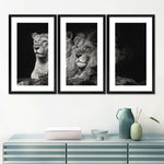 Lion And Lioness Mates Wall Art