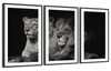 Lion And Lioness Mates Wall Art