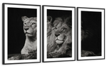 Lion And Lioness Mates Wall Art
