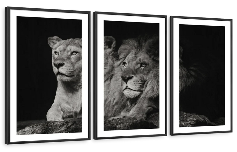 Lion And Lioness Mates Wall Art