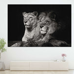 Lion And Lioness Mates Wall Art