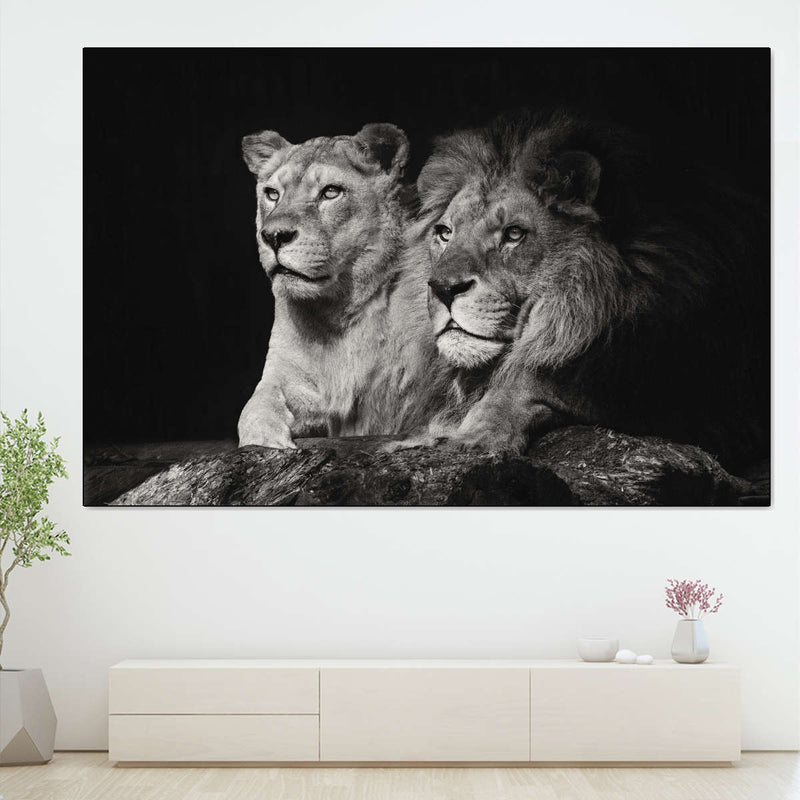 Lion And Lioness Mates Wall Art