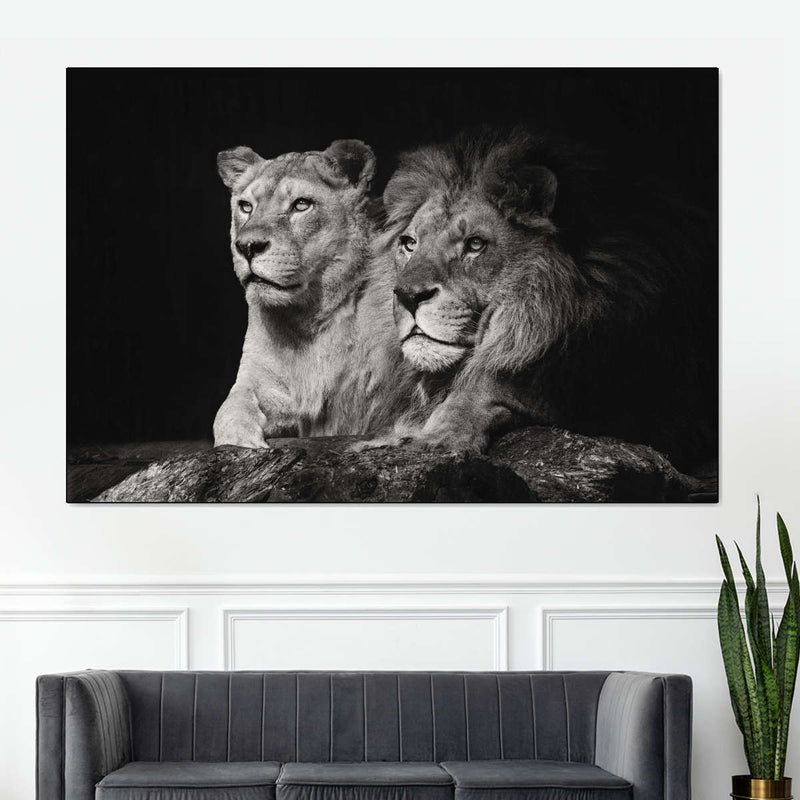 Lion And Lioness Mates Wall Art