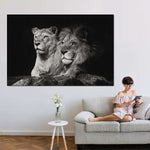 Lion And Lioness Mates Wall Art