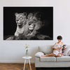 Lion And Lioness Mates Wall Art
