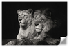 Lion And Lioness Mates Wall Art