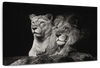 Lion And Lioness Mates Wall Art