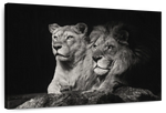 Lion And Lioness Mates Wall Art