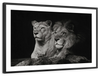 Lion And Lioness Mates Wall Art