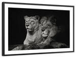 Lion And Lioness Mates Wall Art
