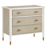 Currey and Company Aster Chest 3000-0264