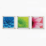 Trio: 3 Square 14" x 14" Single Panel + Magnets Frames for 12" x 12" Art (3001, 3001G)