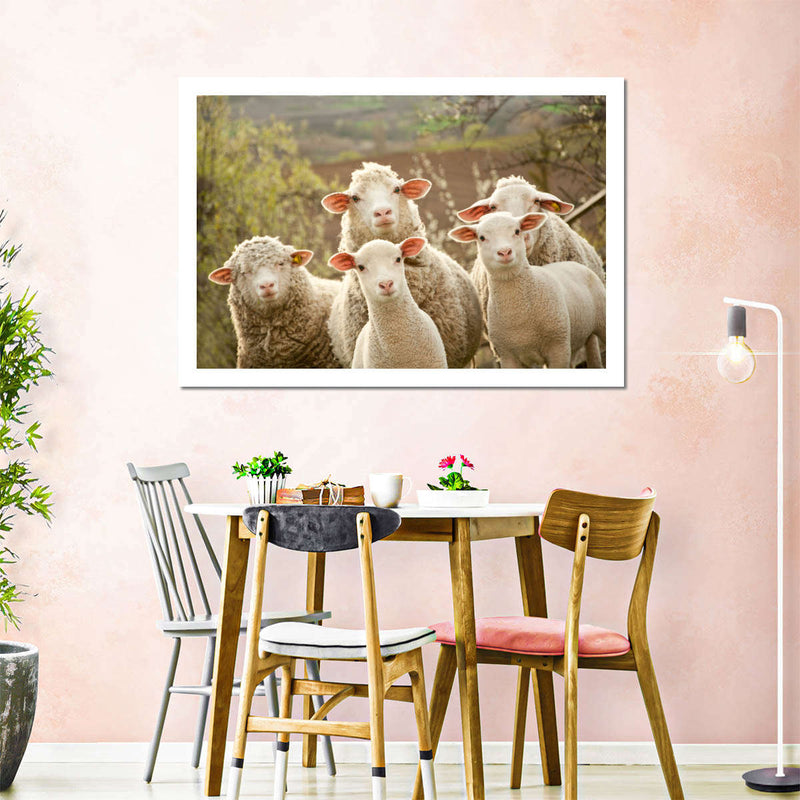 Stunned Sheep Wall Art