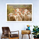 Stunned Sheep Wall Art
