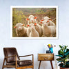 Stunned Sheep Wall Art