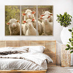 Stunned Sheep Wall Art