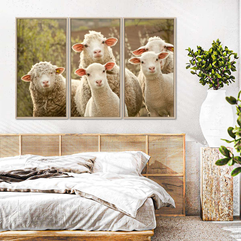 Stunned Sheep Wall Art