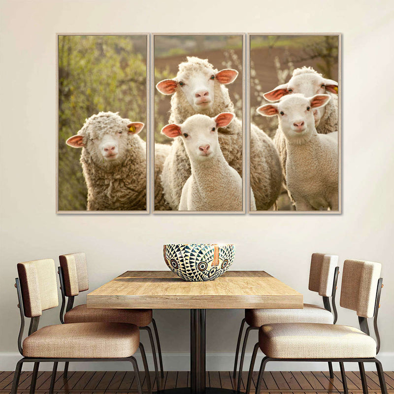 Stunned Sheep Wall Art