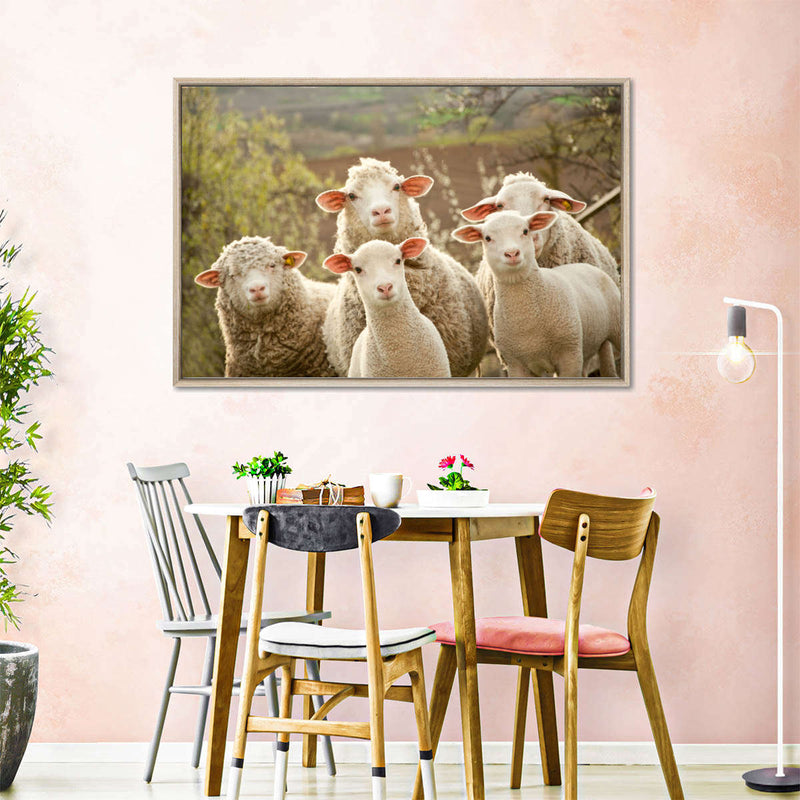 Stunned Sheep Wall Art