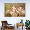 Stunned Sheep Wall Art