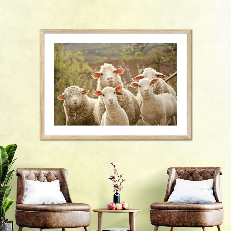 Stunned Sheep Wall Art