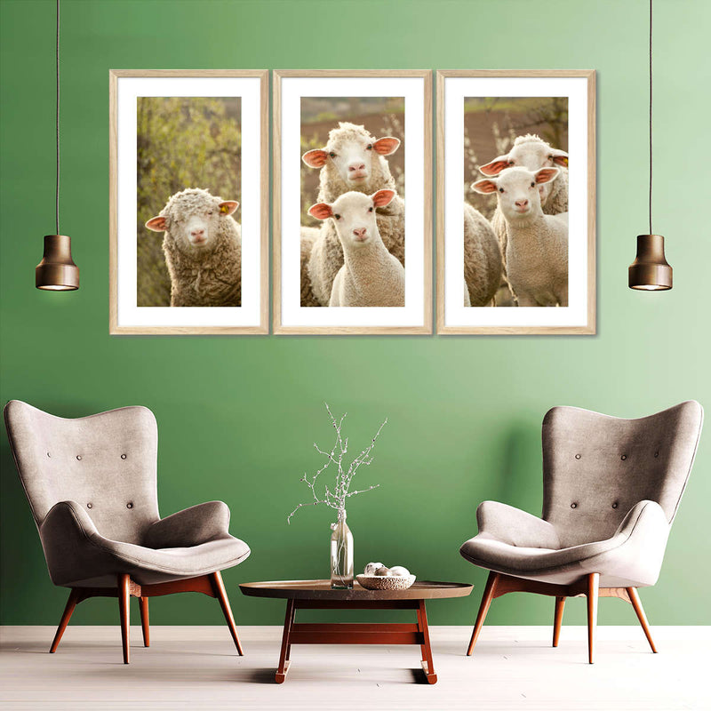 Stunned Sheep Wall Art