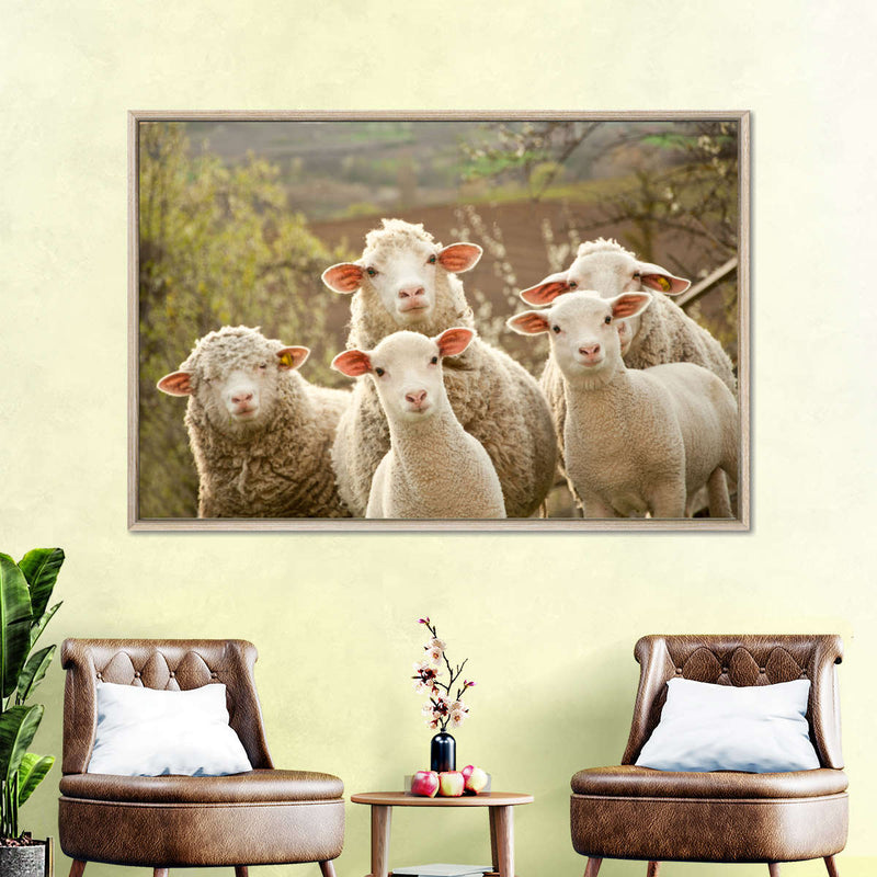 Stunned Sheep Wall Art