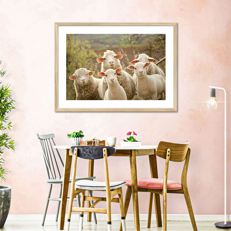 Stunned Sheep Wall Art