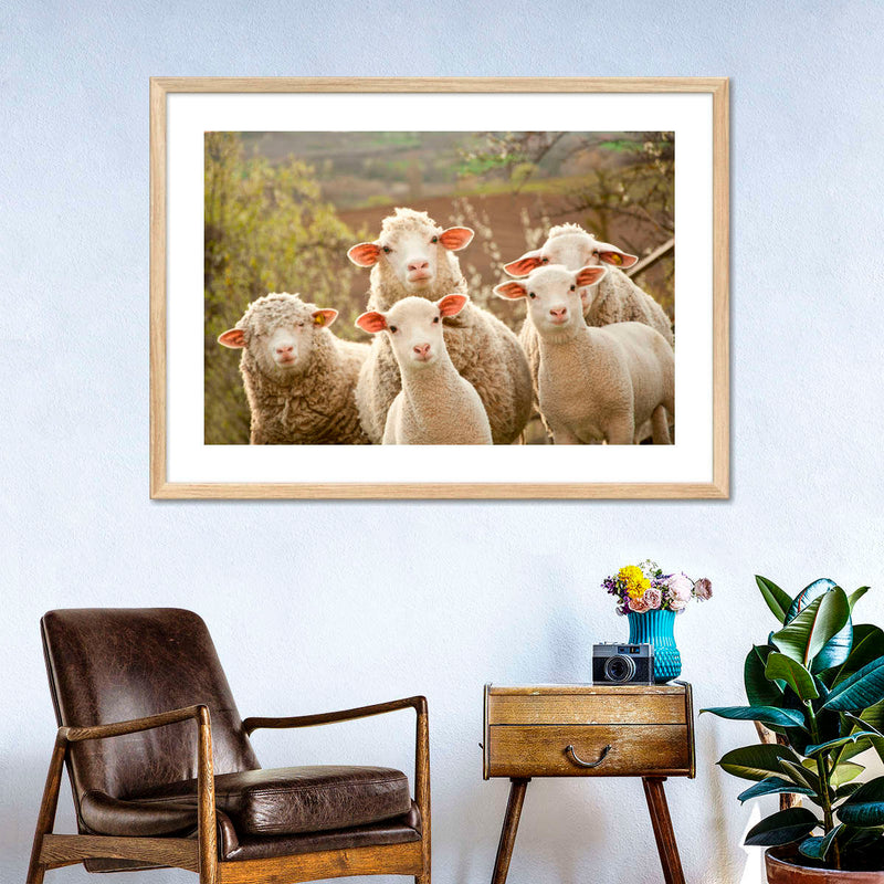 Stunned Sheep Wall Art