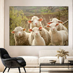 Stunned Sheep Wall Art