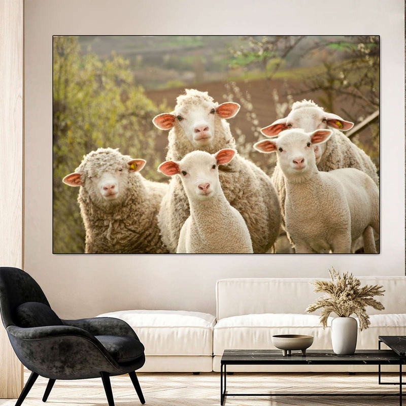 Stunned Sheep Wall Art