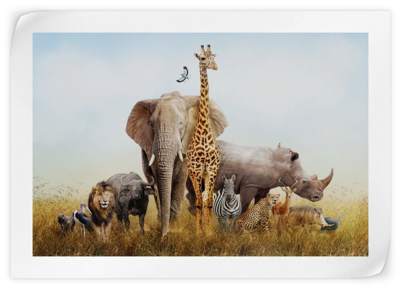 Kenyan Safari Animals Wall Art