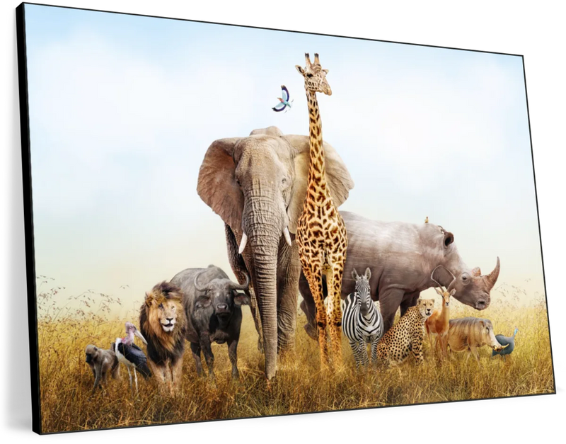Kenyan Safari Animals Wall Art