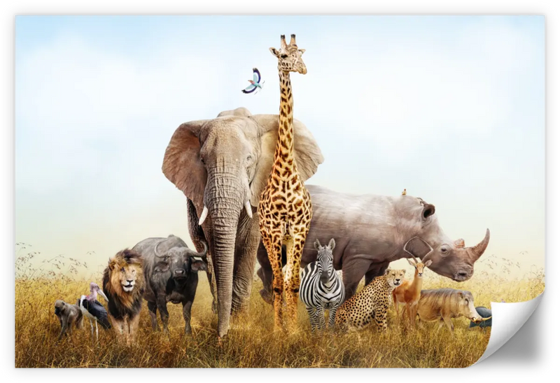 Kenyan Safari Animals Wall Art