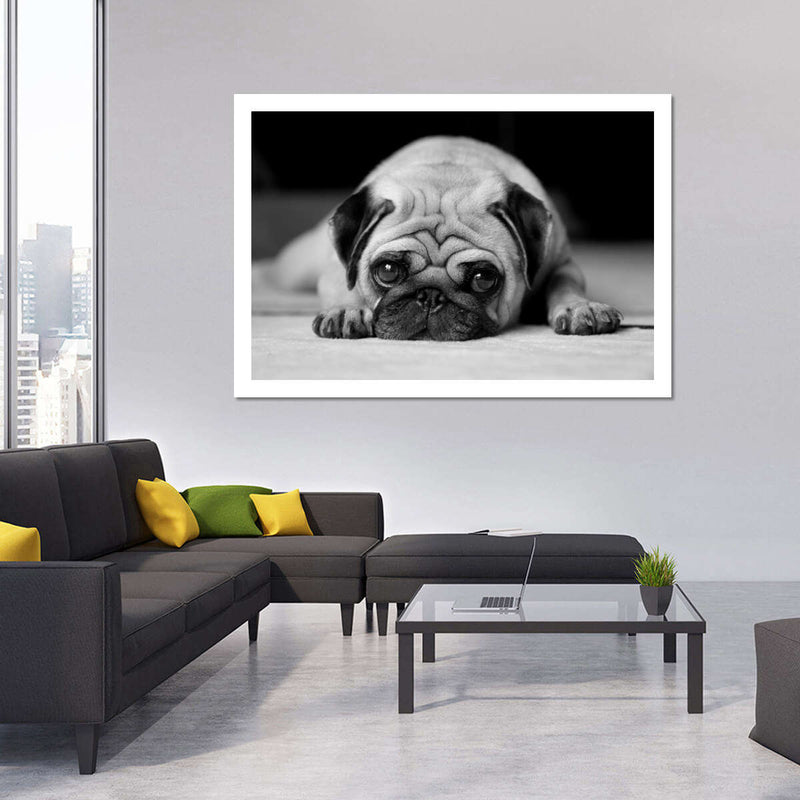 Sad Pug Wall Art