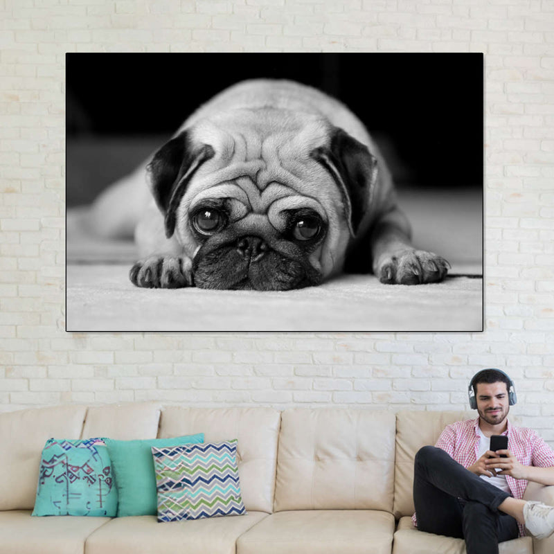 Sad Pug Wall Art