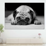 Sad Pug Wall Art