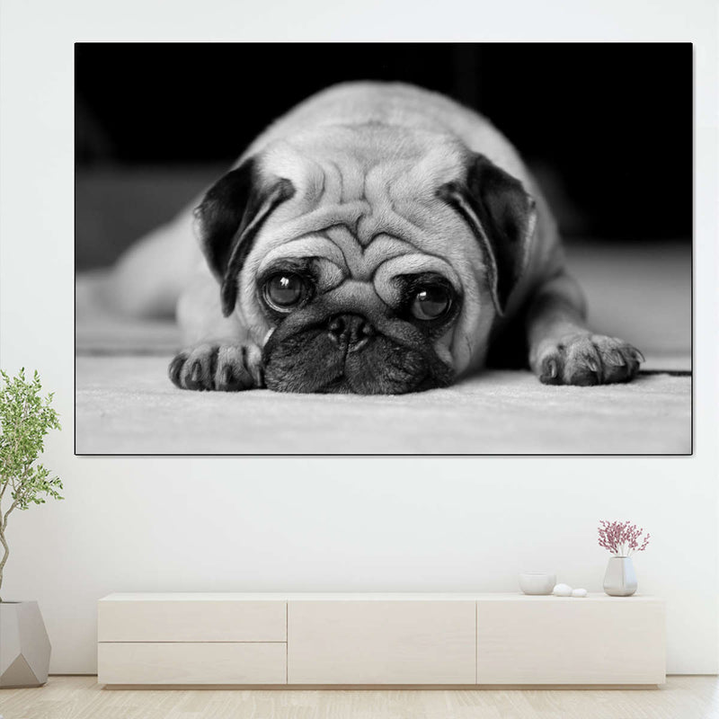 Sad Pug Wall Art