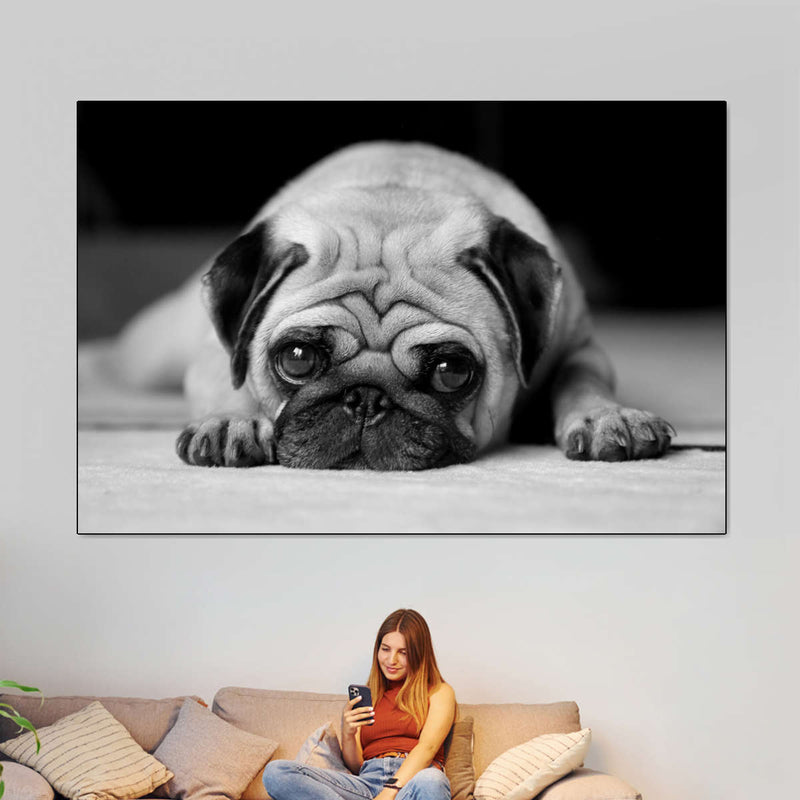 Sad Pug Wall Art