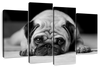Sad Pug Wall Art