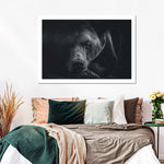 Monochrome Brown Bear Wall Art
