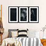 Monochrome Brown Bear Wall Art